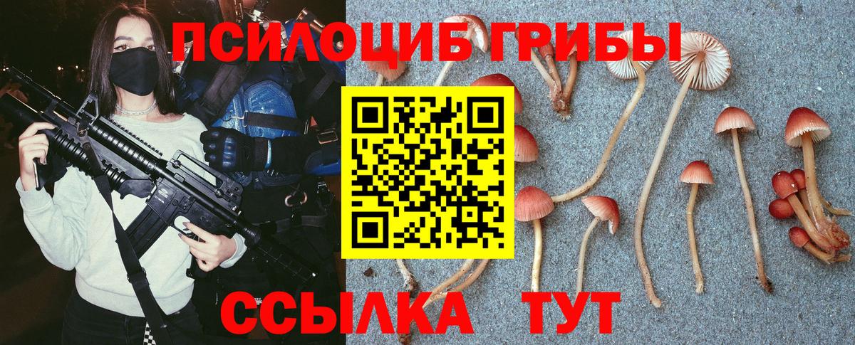 Галлюциногенные грибы Cubensis  Вход с VPN  Димитровград  даркнет сайт  Галлюциногенные грибы MAGIC MUSHROOMS 
